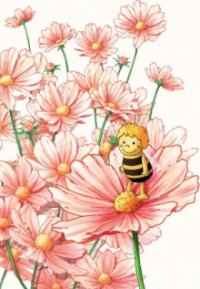 Adventures of Maya the Honeybee Cover, Poster, Adventures of Maya the Honeybee DVD