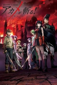 Akame ga Kill! Cover, Poster, Akame ga Kill! DVD