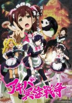 Cover Akiba Maid War, Poster, Stream