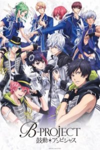 B-Project Cover, Poster, Blu-ray,  Bild