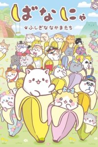 Bananya Cover, Poster, Blu-ray,  Bild