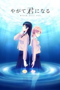 Bloom Into You Cover, Poster, Blu-ray,  Bild