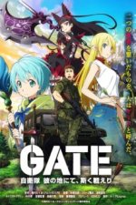 Cover Gate, Poster, Stream