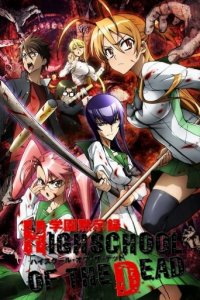 Highschool of the Dead Cover, Highschool of the Dead Poster