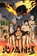 Cover Hinomaru Sumo, Poster, Stream