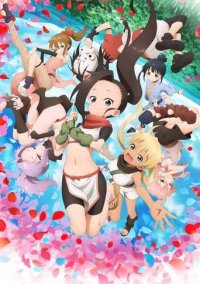 In the Heart of Kunoichi Tsubaki Cover, Poster, Blu-ray,  Bild