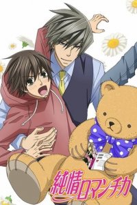 Junjo Romantica Cover, Poster, Junjo Romantica DVD