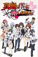 Cover Majikoi: Oh! Samurai Girls!, Poster, Stream