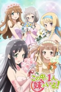 Cover Nakaimo - My Little Sister Is Among Them!, Poster