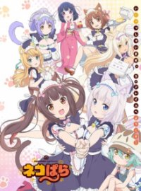 NekoparA Cover, Poster, Blu-ray,  Bild