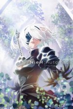 Cover NieR:Automata Ver1.1a, Poster, Stream