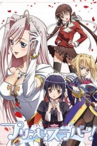 Princess Lover! Cover, Poster, Princess Lover! DVD