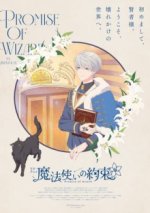 Promise of Wizard Cover, Promise of Wizard Stream