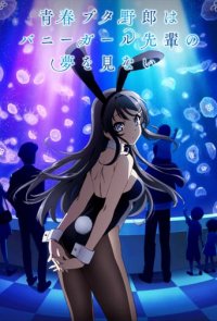 Rascal Does Not Dream of Bunny Girl Senpai Cover, Online, Poster