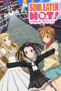 Soul Eater Not! Cover, Online, Poster