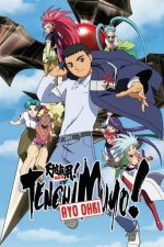 Cover Tenchi Muyo!, Poster, Stream