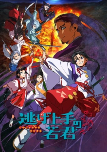 The Elusive Samurai, Cover, HD, Anime Stream, ganze Folge