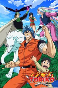 Cover Toriko, Toriko