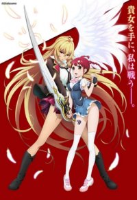 Valkyrie Drive: Mermaid Cover, Poster, Blu-ray,  Bild