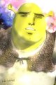 Profilbild Shrek_senpai, Avatar