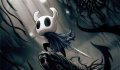 HollowKnightPlayer, Profilbild, Foto, Avatar