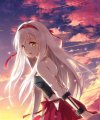 User Shoukaku, Profilbild